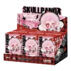 Pop Mart SKULLPANDA Winter Symphony Series Plush box